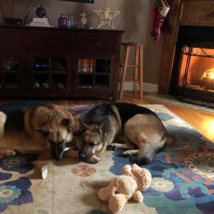 Meet your Posher, Cece